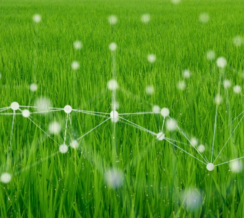 iStock-1180902260-1